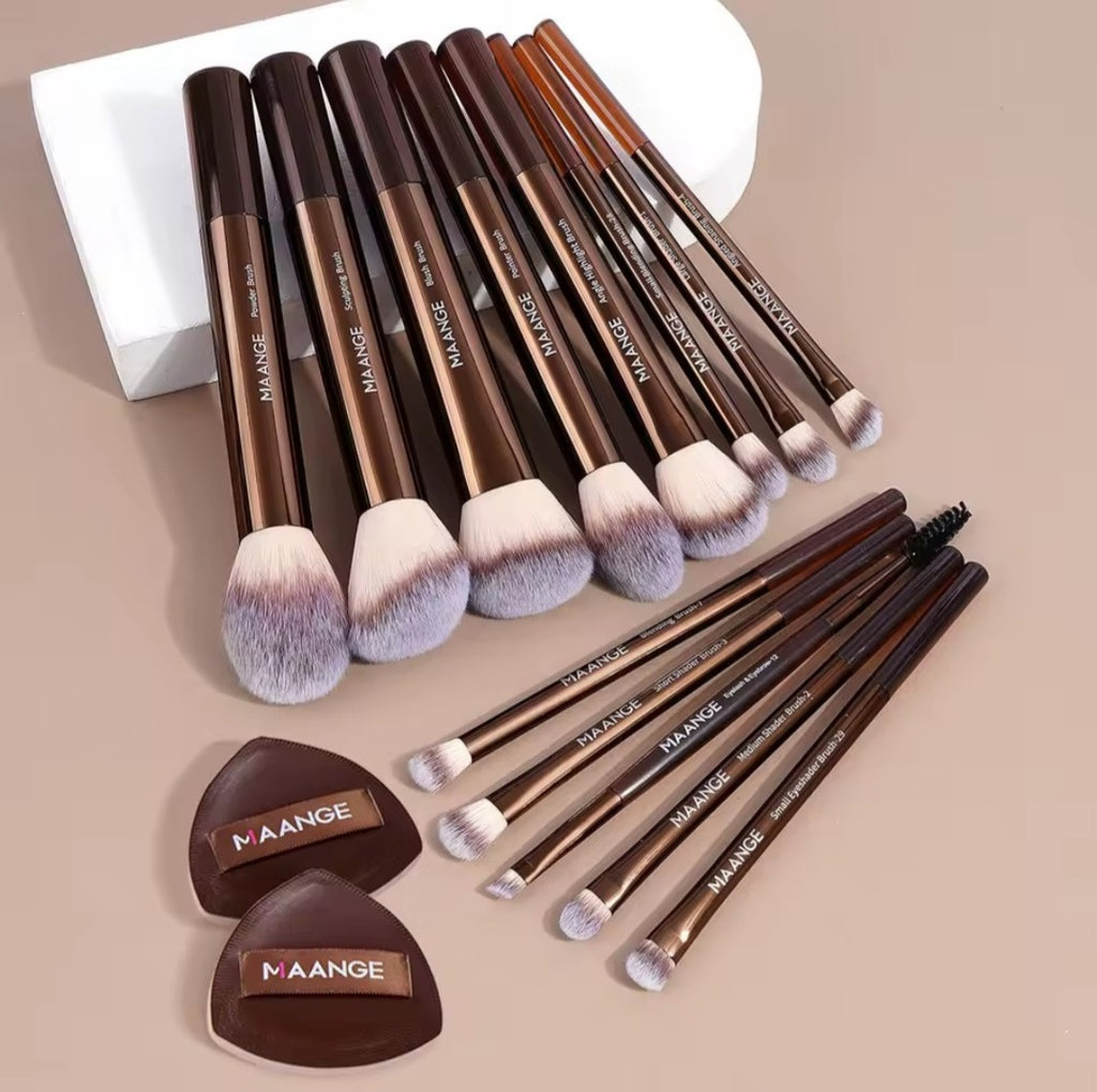 MAANGE 13pcs Premium Makeup Brush Set: For Foundation, Eyeshadow, Powder,  brushes with 2pcs Air Cushion Puffs kit