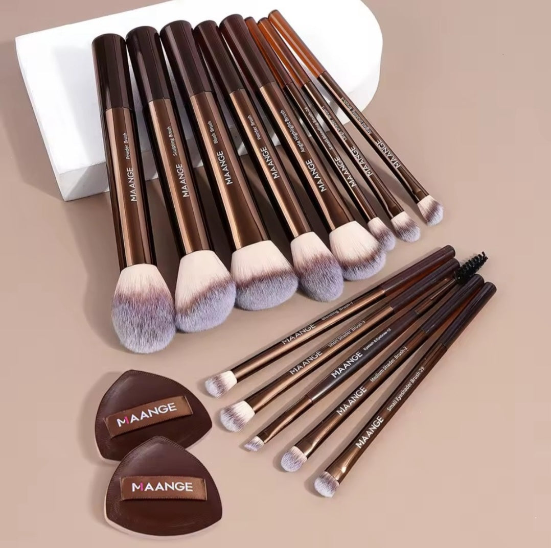 MAANGE 13pcs Premium Makeup Brush Set: For Foundation, Eyeshadow, Powder,  brushes with 2pcs Air Cushion Puffs kit