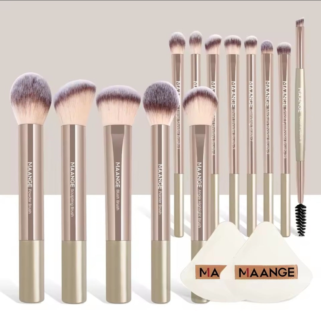 MAANGE 13pcs Premium Makeup Brush Set: For Foundation, Eyeshadow, Powder,  brushes with 2pcs Air Cushion Puffs kit
