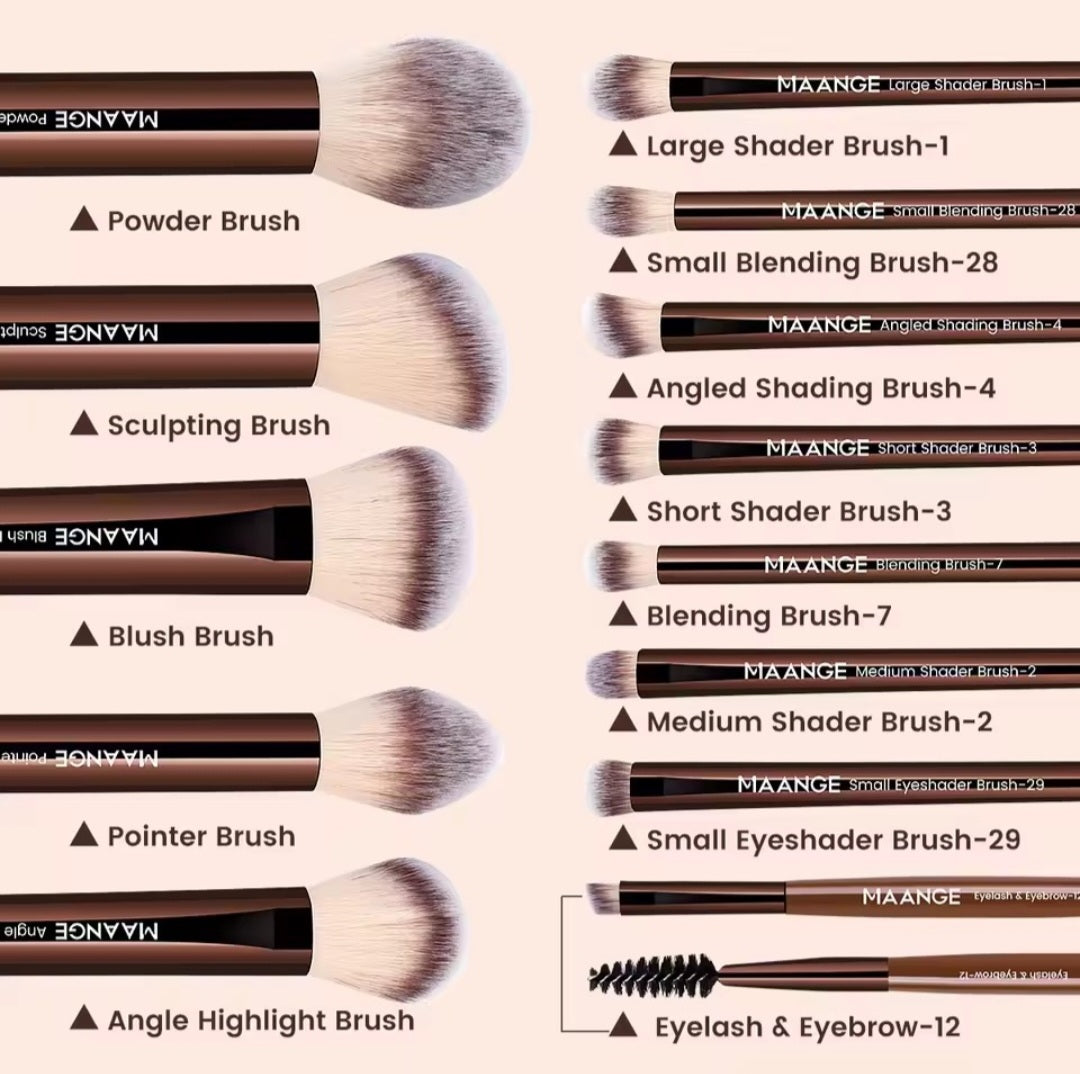 MAANGE 13pcs Premium Makeup Brush Set: For Foundation, Eyeshadow, Powder,  brushes with 2pcs Air Cushion Puffs kit